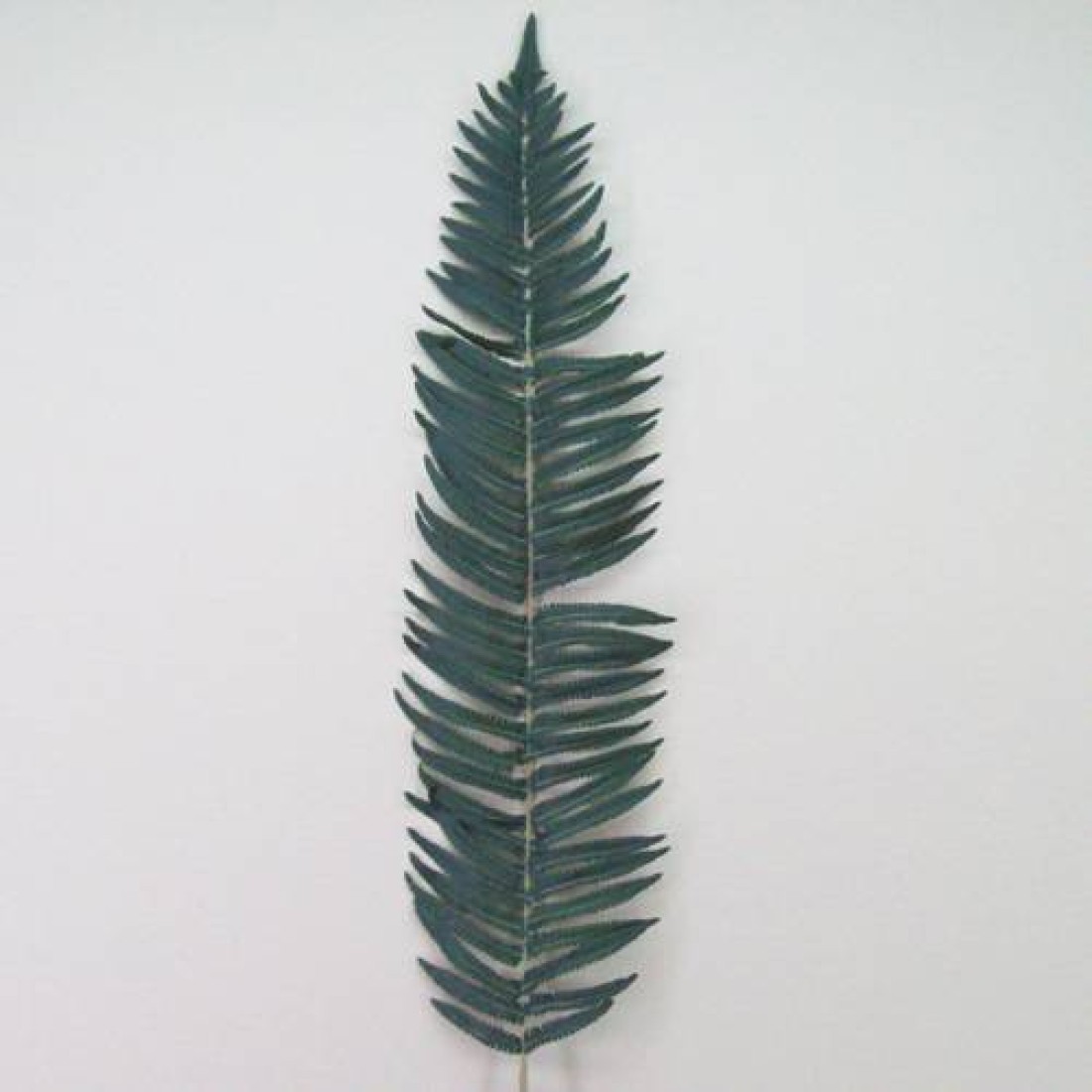 Artificial Fern Leaves Extra Large Artificial Ferns